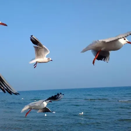 Appartamento Duenenresidenz Koenigin Augusta 2 In *