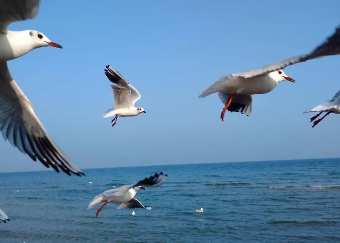 Apartamento Duenenresidenz Koenigin Augusta 2 In *